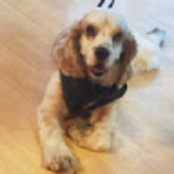 Meet your Posher, Rocio - Picture 1 of 1